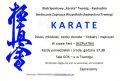 Miniaturka artykułu Bezpłatne treningi karate w czasie ferii