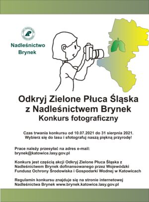 Miniaturka artykułu „Odkryj Zielone Płuca Śląska” – konkurs fotograficzny