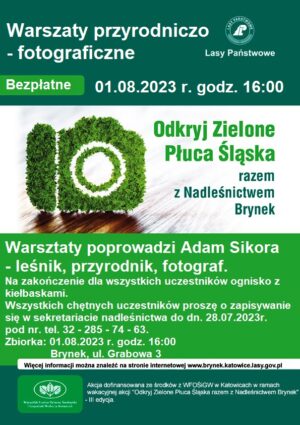 Miniaturka artykułu Warsztaty Przyrodniczo-fotograficzne  – Odkryj Zielone Płuca Śląska
