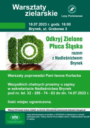 Miniaturka artykułu Warsztaty Zielarskie – Odkryj Zielone Płuca Śląska