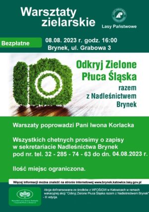 Miniaturka artykułu Warsztaty Zielarskie – Okryj Zielone Płuca Śląska